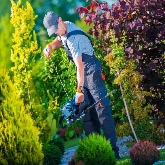 it-services-jardinage