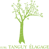 Tanguy